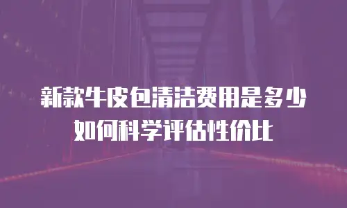 新款牛皮包清洁费用是多少 如何科学评估性价比