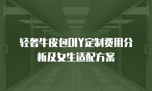轻奢牛皮包DIY定制费用分析及女生适配方案
