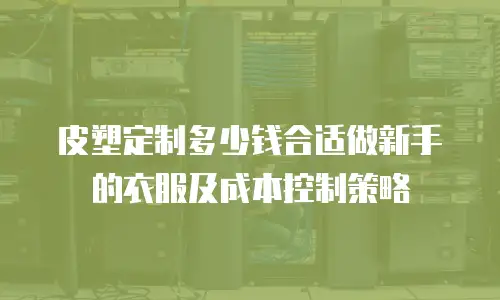 皮塑定制多少钱合适做新手的衣服及成本控制策略