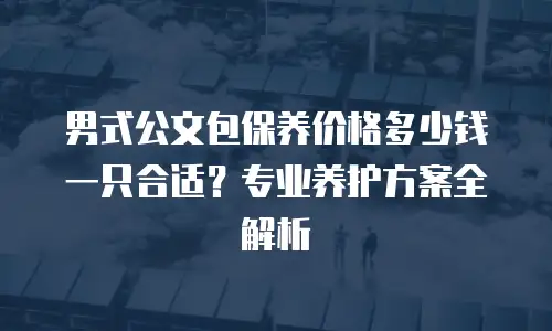 男式公文包保养价格多少钱一只合适？专业养护方案全解析