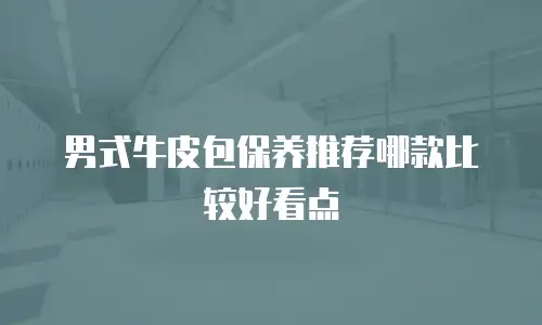 男式牛皮包保养推荐哪款比较好看点