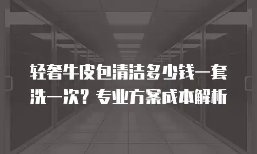 轻奢牛皮包清洁多少钱一套洗一次？专业方案成本解析
