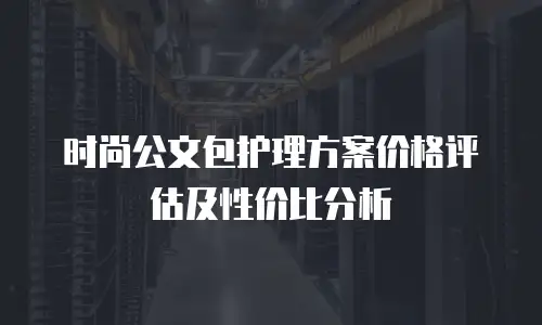 时尚公文包护理方案价格评估及性价比分析
