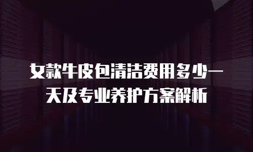 女款牛皮包清洁费用多少一天及专业养护方案解析