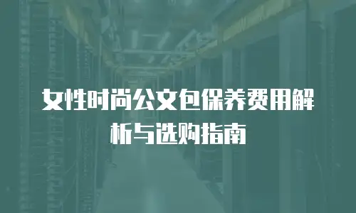 女性时尚公文包保养费用解析与选购指南