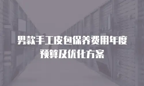 男款手工皮包保养费用年度预算及优化方案
