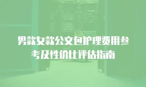 男款女款公文包护理费用参考及性价比评估指南