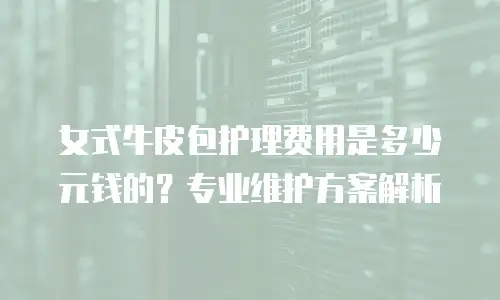 女式牛皮包护理费用是多少元钱的？专业维护方案解析