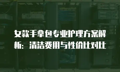 女款手拿包专业护理方案解析：清洁费用与性价比对比