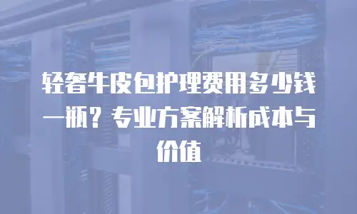 轻奢牛皮包护理费用多少钱一瓶？专业方案解析成本与价值