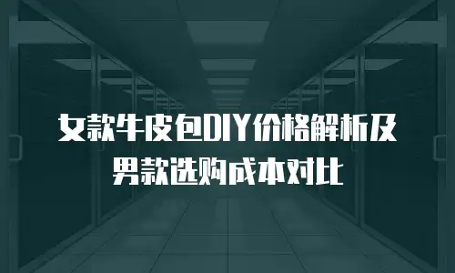 女款牛皮包DIY价格解析及男款选购成本对比
