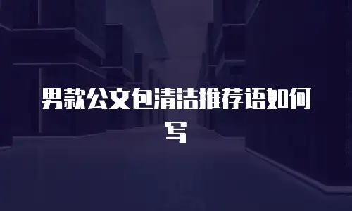 男款公文包清洁推荐语如何写