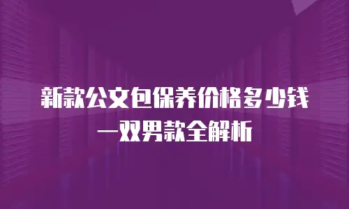 新款公文包保养价格多少钱一双男款全解析