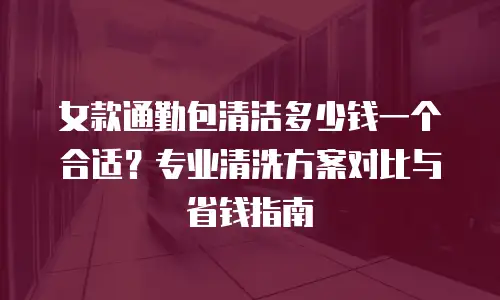 女款通勤包清洁多少钱一个合适？专业清洗方案对比与省钱指南