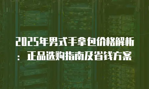 2025年男式手拿包价格解析：正品选购指南及省钱方案