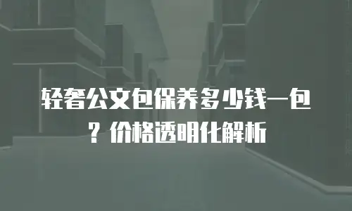 轻奢公文包保养多少钱一包？价格透明化解析