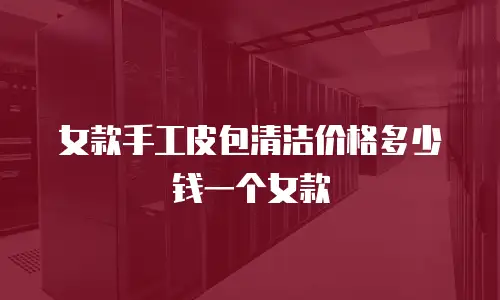 女款手工皮包清洁价格多少钱一个女款