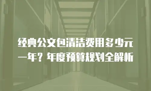 经典公文包清洁费用多少元一年？年度预算规划全解析