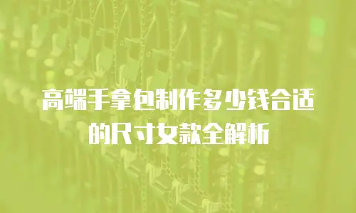 高端手拿包制作多少钱合适的尺寸女款全解析