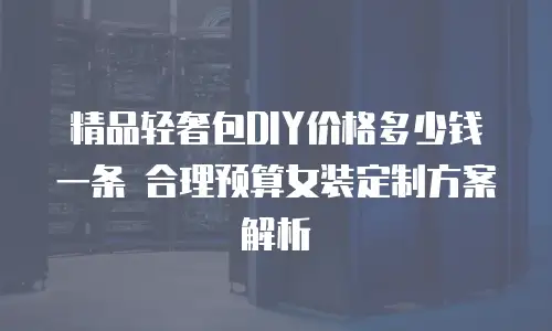 精品轻奢包DIY价格多少钱一条 合理预算女装定制方案解析