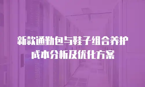 新款通勤包与鞋子组合养护成本分析及优化方案