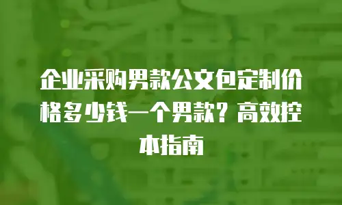 企业采购男款公文包定制价格多少钱一个男款？高效控本指南