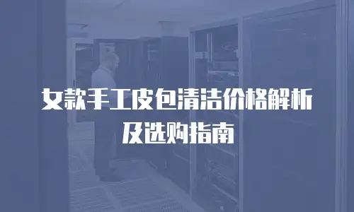 女款手工皮包清洁价格解析及选购指南