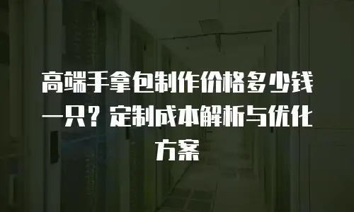 高端手拿包制作价格多少钱一只？定制成本解析与优化方案