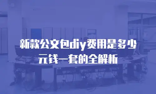 新款公文包diy费用是多少元钱一套的全解析