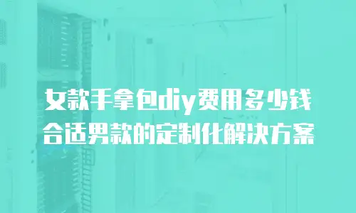 女款手拿包diy费用多少钱合适男款的定制化解决方案
