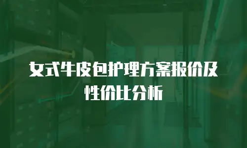 女式牛皮包护理方案报价及性价比分析