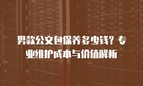 男款公文包保养多少钱？专业维护成本与价值解析