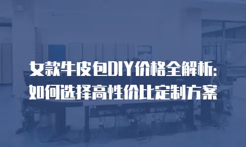 女款牛皮包DIY价格全解析：如何选择高性价比定制方案