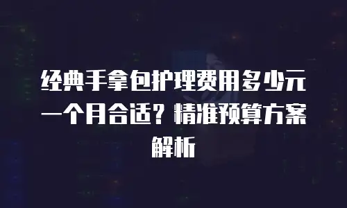 经典手拿包护理费用多少元一个月合适？精准预算方案解析