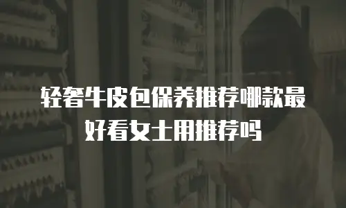 轻奢牛皮包保养推荐哪款最好看女士用推荐吗
