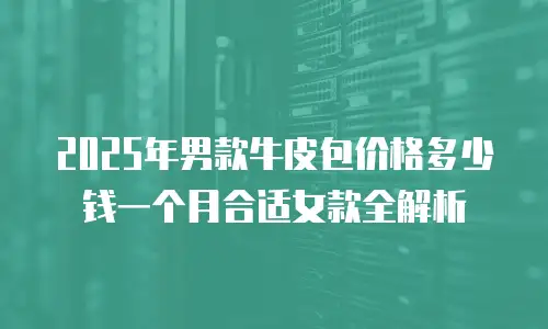2025年男款牛皮包价格多少钱一个月合适女款全解析