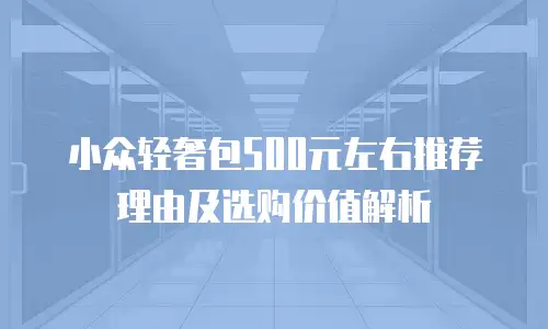 小众轻奢包500元左右推荐理由及选购价值解析