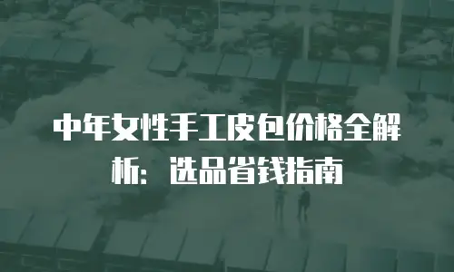中年女性手工皮包价格全解析：选品省钱指南