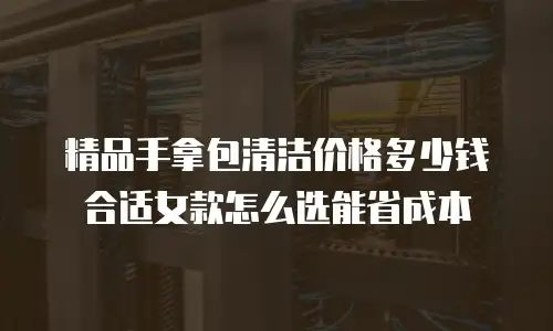 精品手拿包清洁价格多少钱合适女款怎么选能省成本