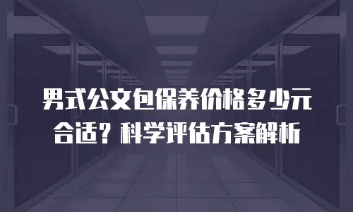 男式公文包保养价格多少元合适？科学评估方案解析