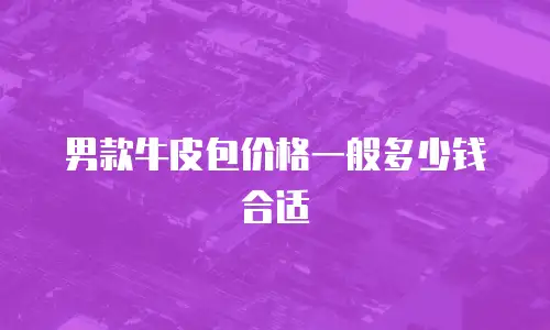 男款牛皮包价格一般多少钱合适