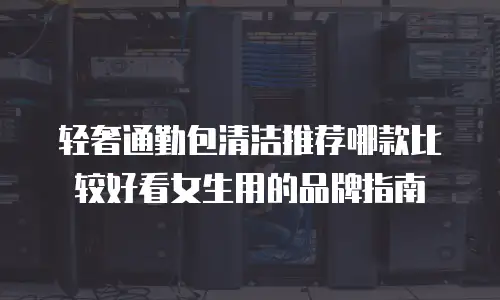 轻奢通勤包清洁推荐哪款比较好看女生用的品牌指南