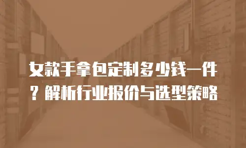 女款手拿包定制多少钱一件？解析行业报价与选型策略