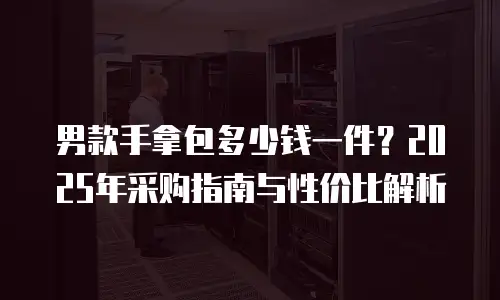 男款手拿包多少钱一件？2025年采购指南与性价比解析