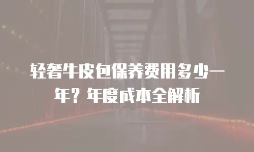 轻奢牛皮包保养费用多少一年？年度成本全解析