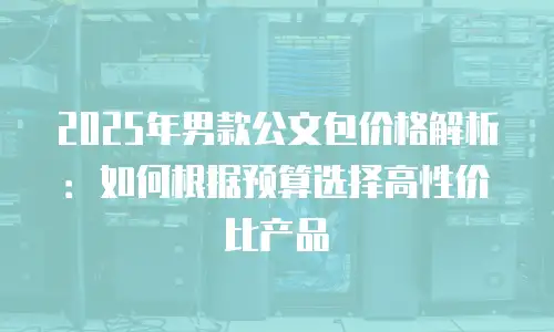 2025年男款公文包价格解析：如何根据预算选择高性价比产品