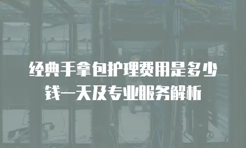 经典手拿包护理费用是多少钱一天及专业服务解析