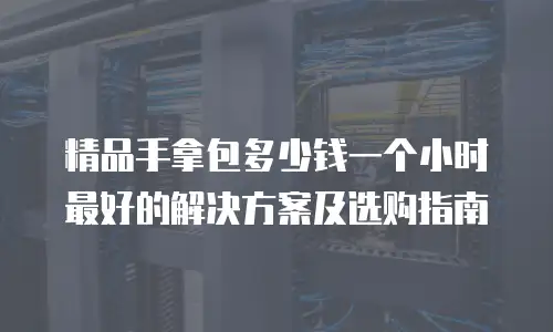 精品手拿包多少钱一个小时最好的解决方案及选购指南