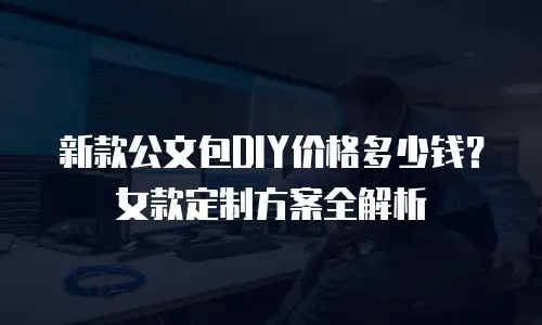 新款公文包DIY价格多少钱？女款定制方案全解析