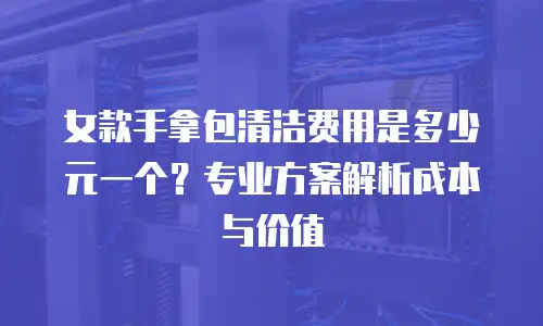 女款手拿包清洁费用是多少元一个？专业方案解析成本与价值